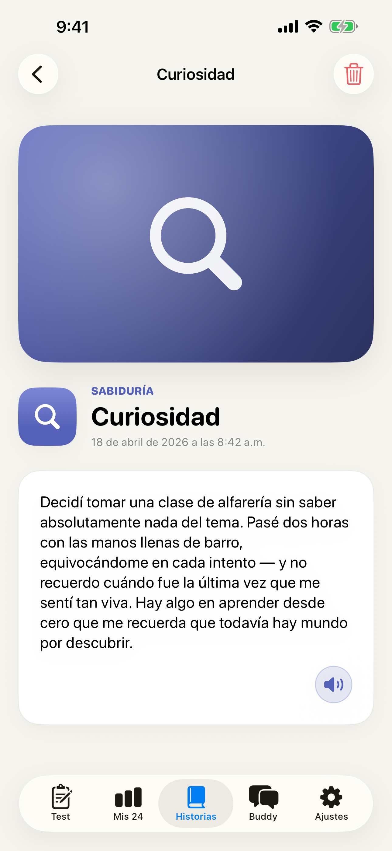 Detalle de historia